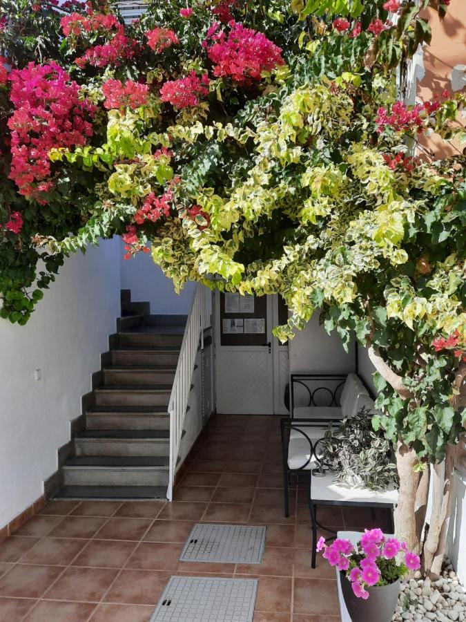 Hostal Costa Ίμπιζα Πόλη Εξωτερικό φωτογραφία